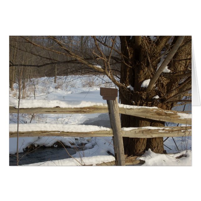 The Pond in Winter (Front Horizontal)