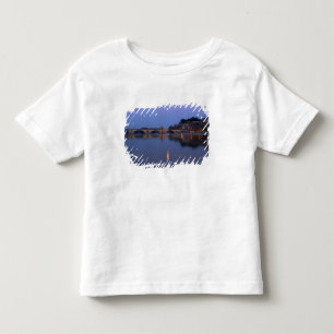 The Pont St. Benezet bridge in Avignon on the Toddler T-Shirt