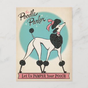 The Poodle Parlour Postcard