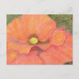 The Poppy, Postcard