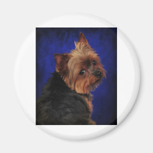 The Poser Magnet