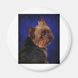 The Poser Magnet