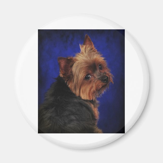 The Poser Magnet (Front)