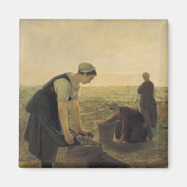 The Potato Harvest Magnet (Front)