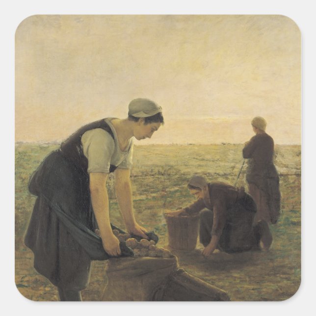 The Potato Harvest Square Sticker (Front)