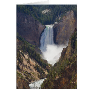 The Power Of Yellowstone