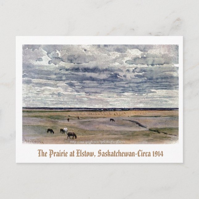 "The Prairie at Elstow, Saskatchewan-1914" Postcard (Front)