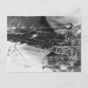 The pretty water postcard