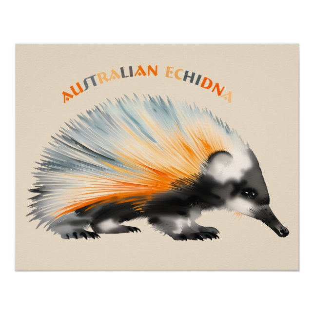 The prickly Australian Echidna Poster (Front)