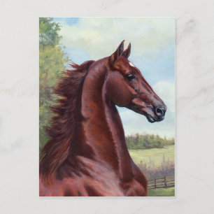 The Prince (WC Merchant Prince by JNS Fine Art Postcard