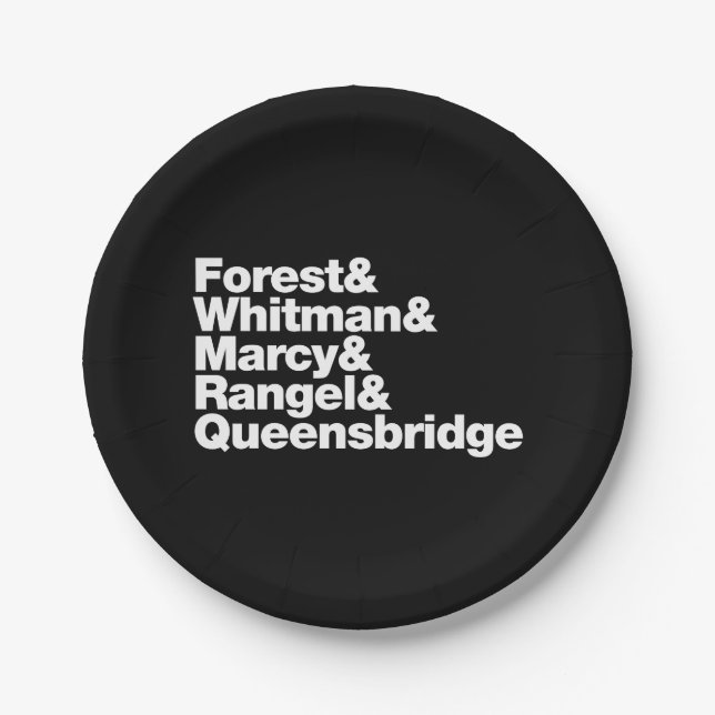 The Projects Paper Plate (Front)