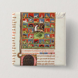 The Properties of Animals 15 Cm Square Badge