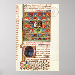 The Properties of Animals Poster