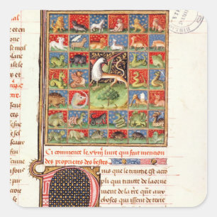 The Properties of Animals Square Sticker