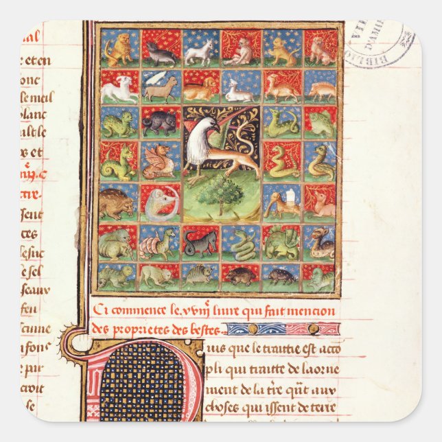 The Properties of Animals Square Sticker (Front)