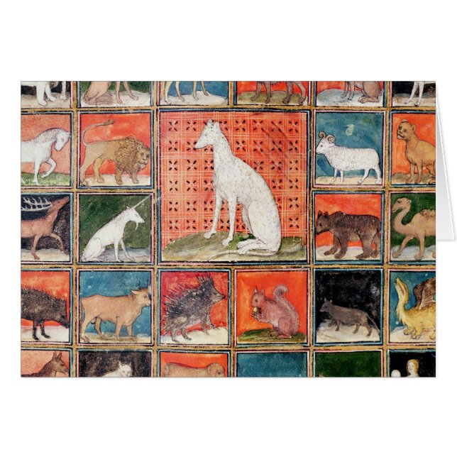 The Properties of Beasts: The Mammals (Front Horizontal)