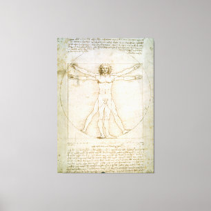 The Proportions of the human figure Canvas Print