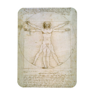 The Proportions of the human figure Magnet