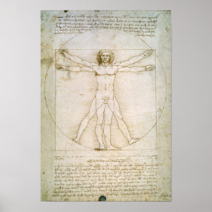 The Proportions of the human figure Poster