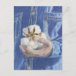 The Provider Post Card