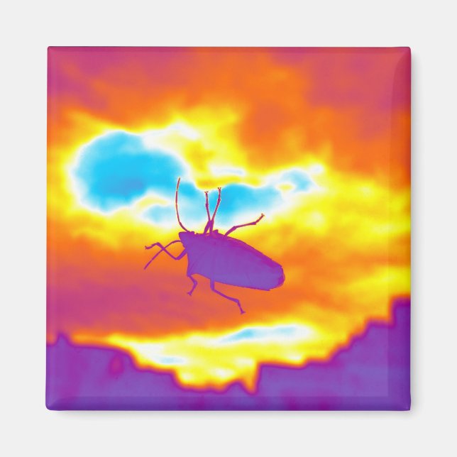 The Psychedelic Bug Magnet (Front)