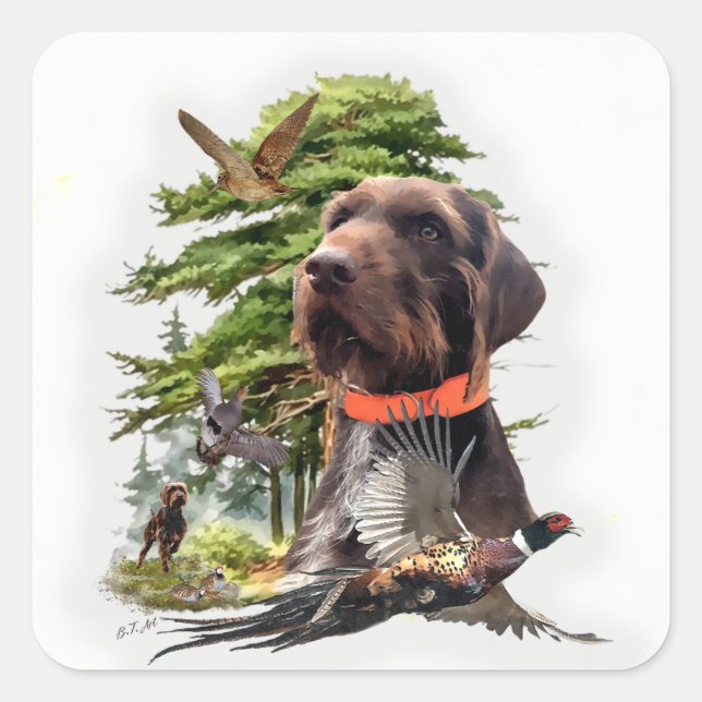 The Pudelpointer  Square Sticker (Front)