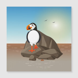The Puffin standing along the coast