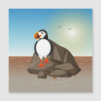 The Puffin standing along the coast