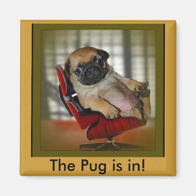 The Pug is in! Magnet (Front)