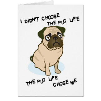 the Pug Life