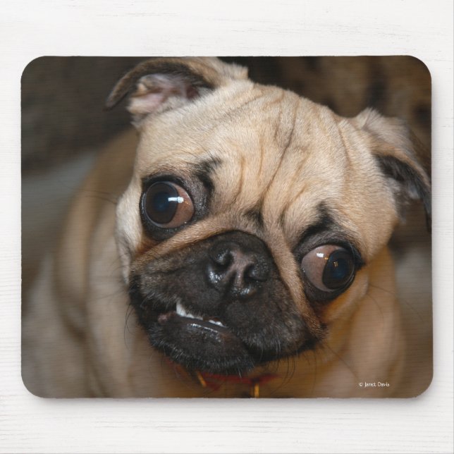 The Pug Mouse Mat (Front)