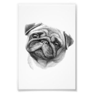 The Pug Portrait   Cute Pug Dog Face Photo Print