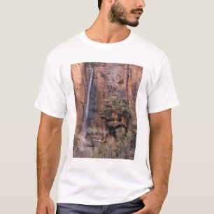 The Pulpit and ephemeral waterfall 2 T-Shirt