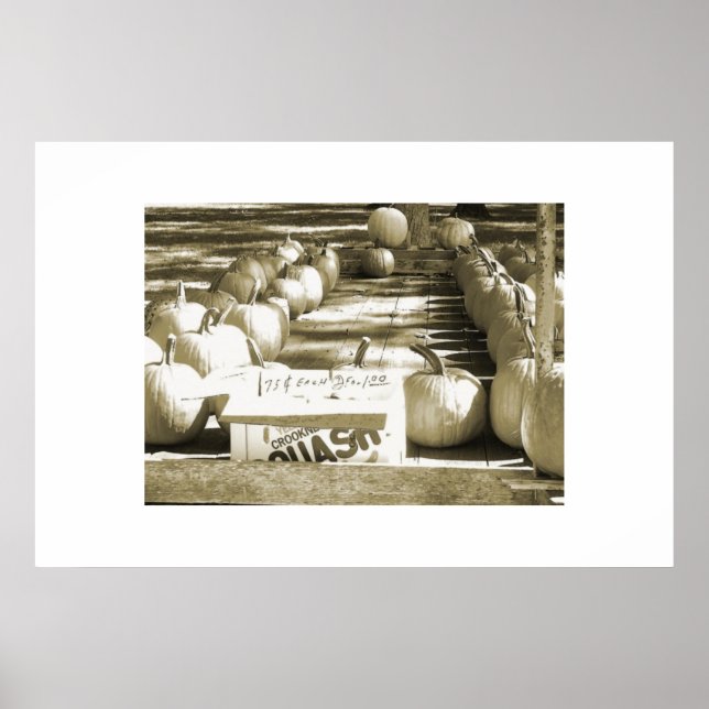 The Pumpkin Cart Poster (Front)