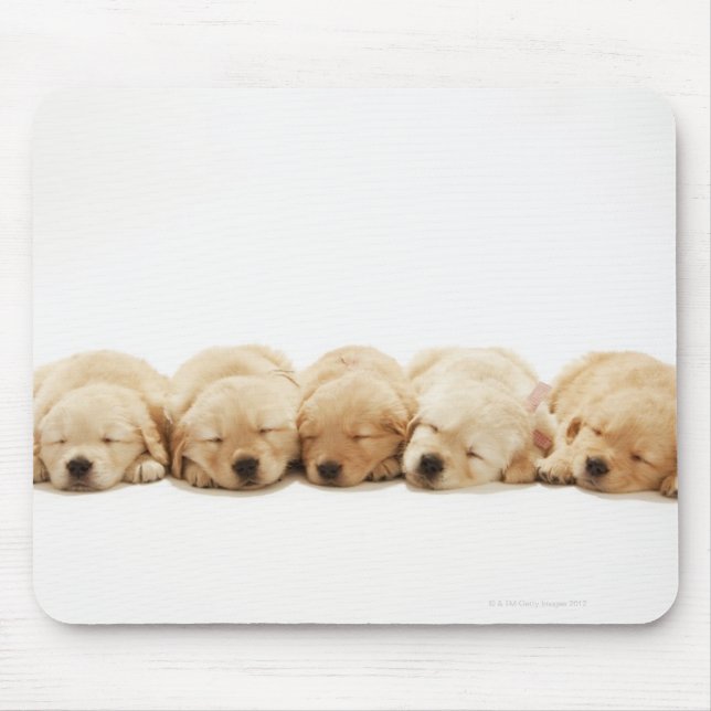 The puppies of the Golden Retriever Mouse Mat (Front)