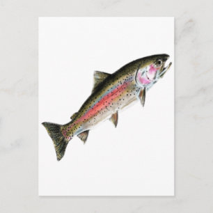 THE PURE ONE POSTCARD