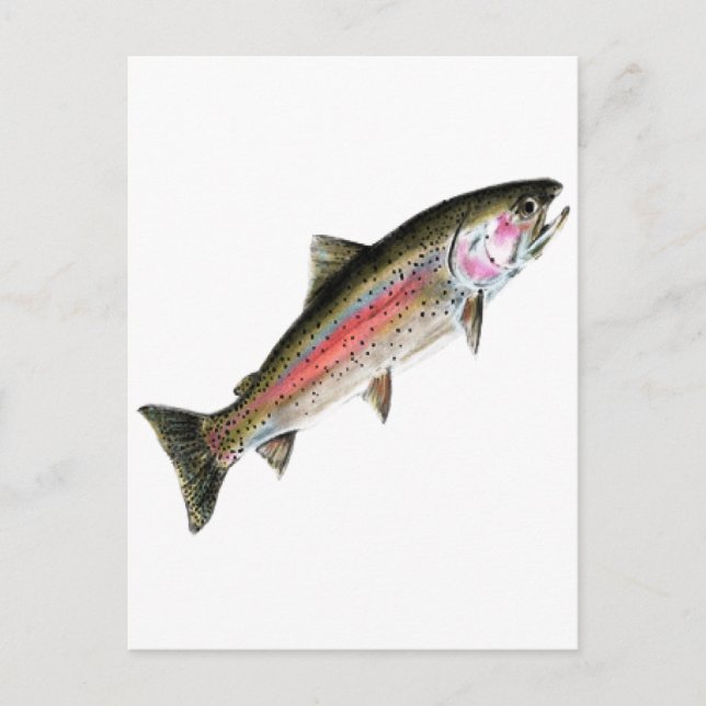 THE PURE ONE POSTCARD (Front)