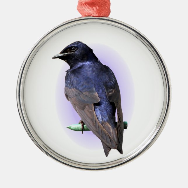 The Purple Martin Metal Tree Decoration (Front)
