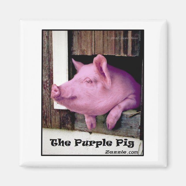 The Purple Pig magnet (Front)