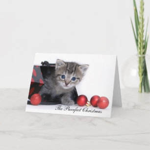 The Purrfect Christmas Card