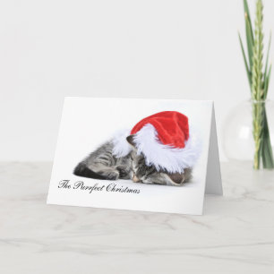 The purrfect Christmas Card