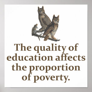 The Quality Of Education Affects - Education Quote Poster
