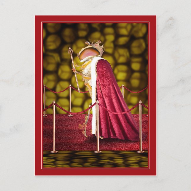 The Queen Bee Postcard (Front)
