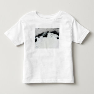 The Queen Mary Coast of Antarctica Toddler T-Shirt