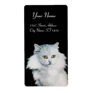 THE QUEEN OF WHITE CATS