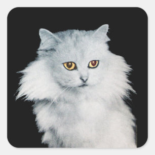 THE QUEEN OF WHITE CATS SQUARE STICKER