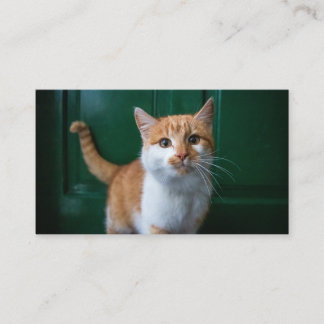 The question isn't who is going to let me; it's wh business card