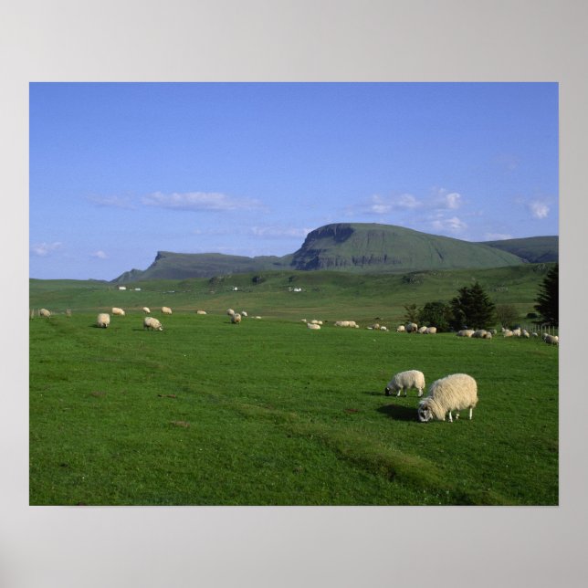 The Quiraing Mountains, Isle of Skye, Highlands, Poster (Front)