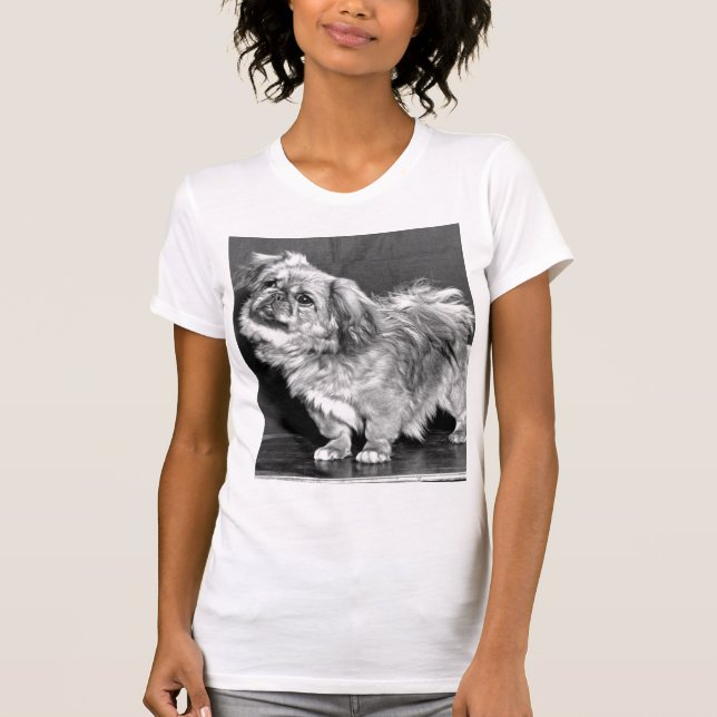 The Quizzicle Pekingese T-Shirt (Front)