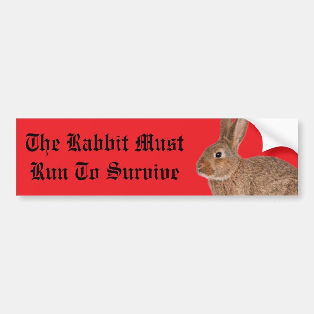 The rabbit must run to survive bumper sticker (Front)